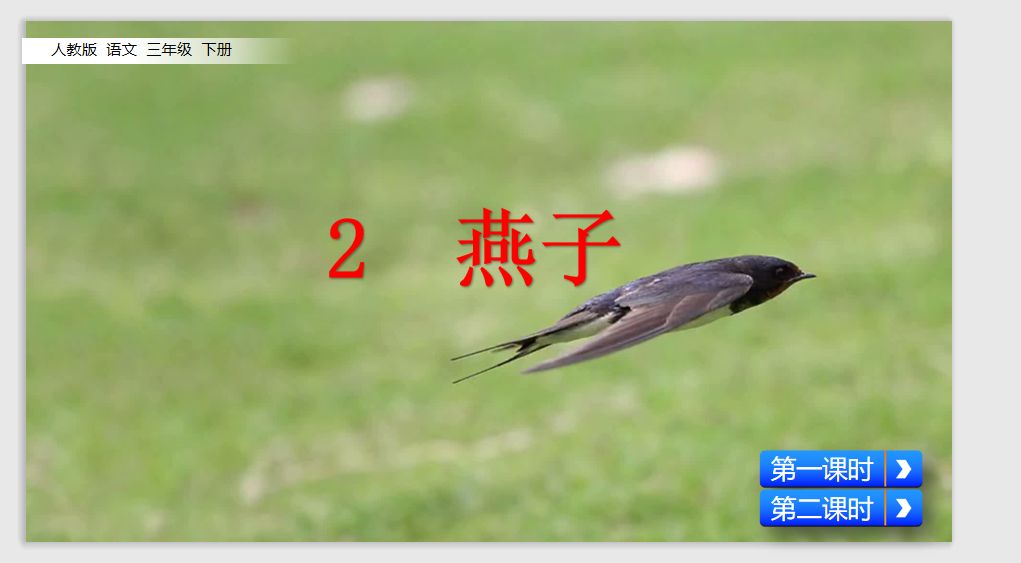 [课件]2  燕子